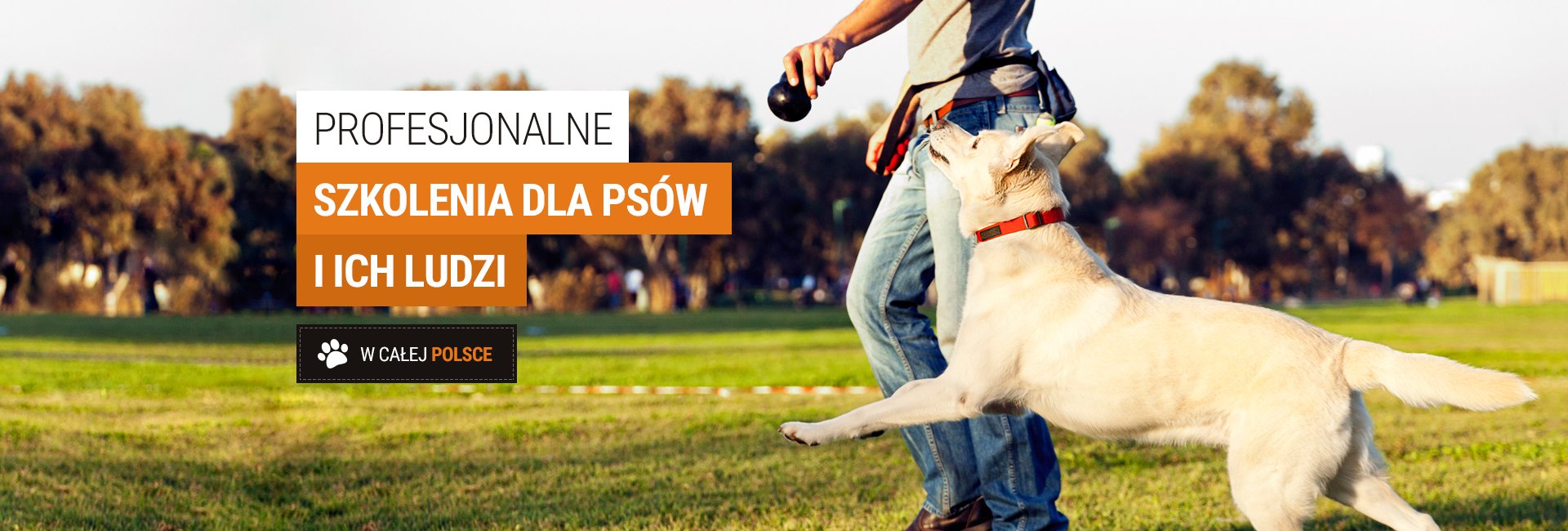 Profesjonalne szkolenia dla psów i ich ludzi