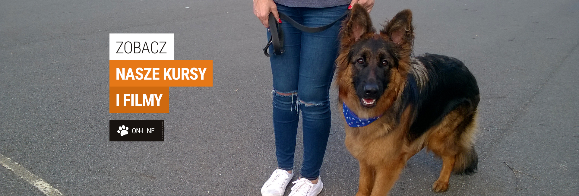 Kursy i filmy on-line