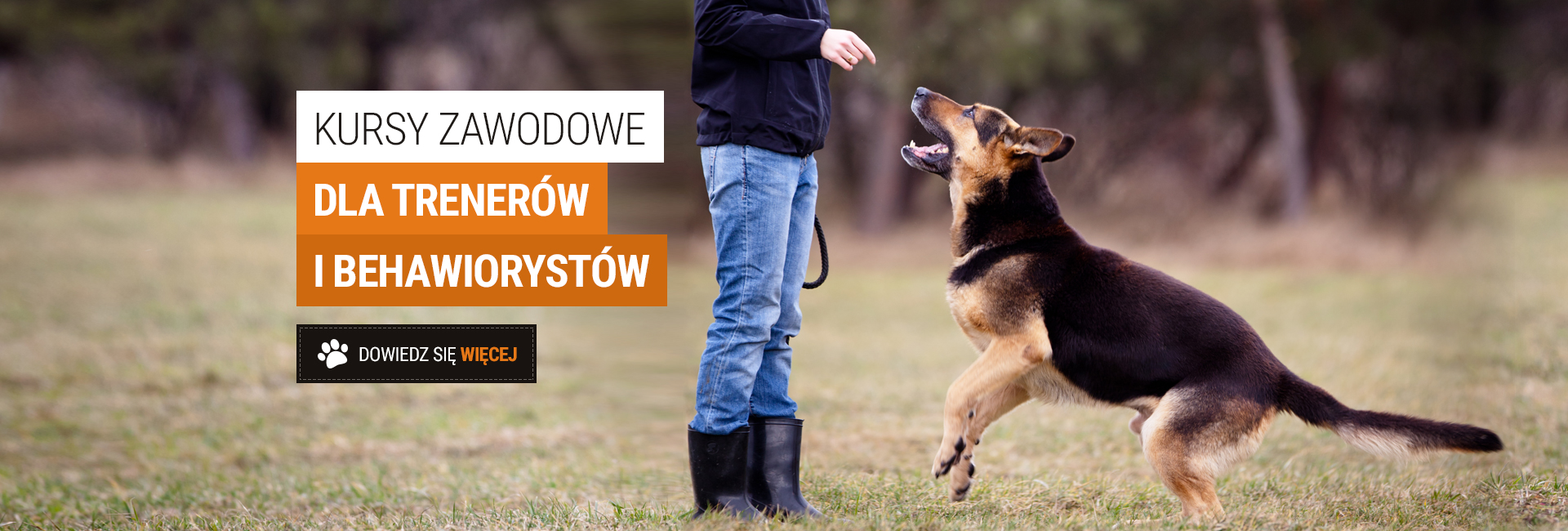 Kursy zawodowe