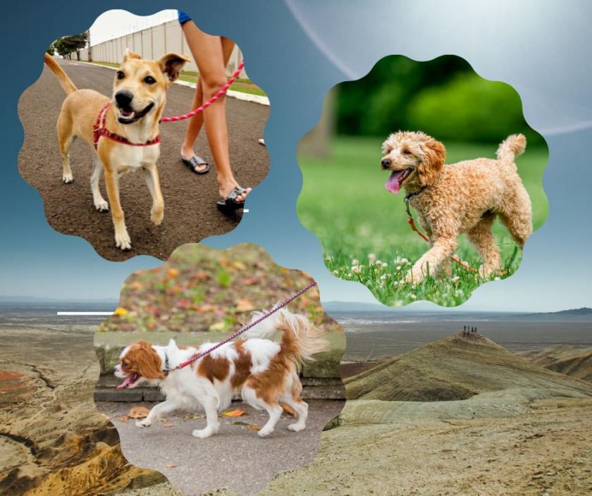 Spacer terapeutyczny Spacer terapeutyczny